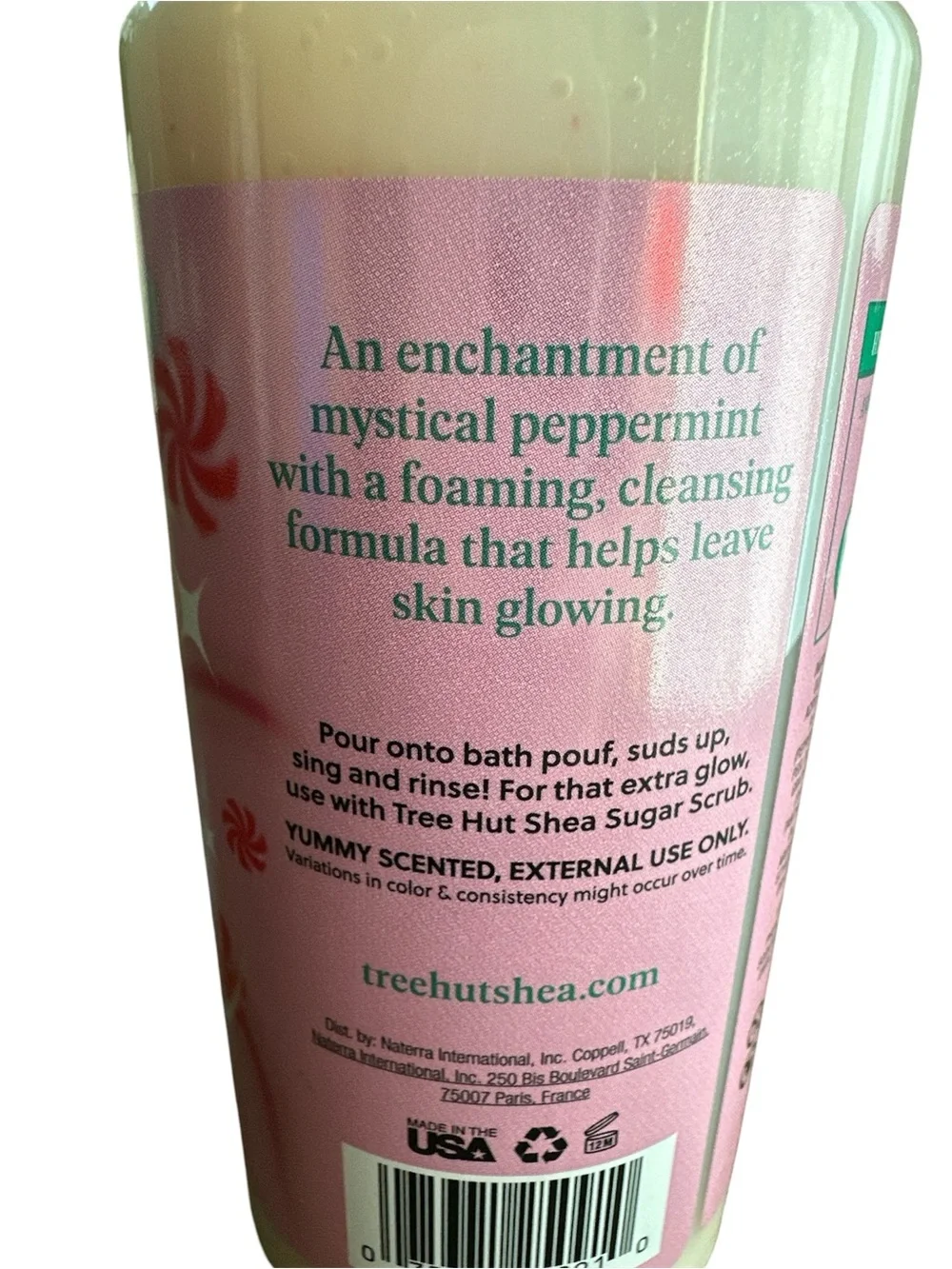 Merry Mint Foaming Gel Wash